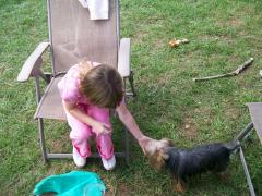 Sunday September 16, 2007 14:34 - BACK YARD ( POOLS GONE) 018.jpg